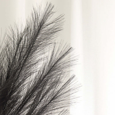 Black decorative feather arrangement on a plain white background.