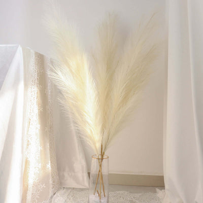 Dried pampas grass in a glass vase against a soft, neutral backdrop.
