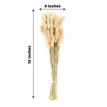 Pack of 50 Natural Rabbit Tail Dried Pampas Grass Bouquets 15 Inch