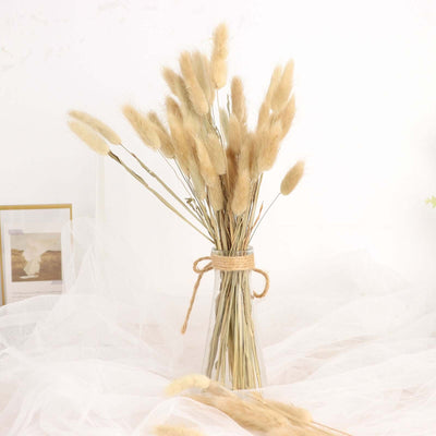 Dried grass bouquet in a glass vase with twine on a soft background.