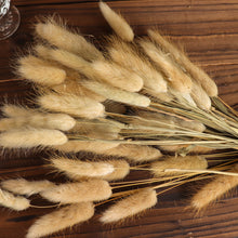 15 Inch Natural Rabbit Tail Dried Pampas Grass Bouquet 50 Pack