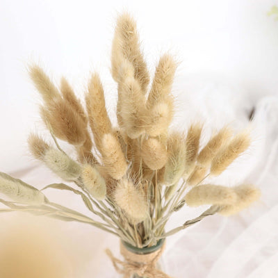 Dried floral bouquet in neutral tones on plain background