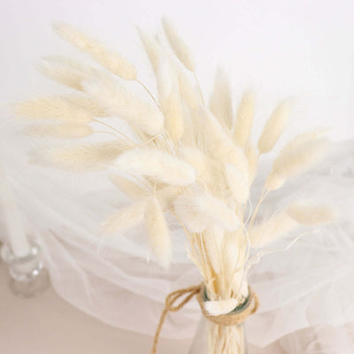 Dried white bunny tail grass bouquet in a vase