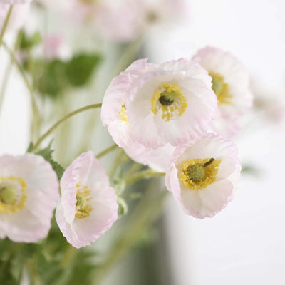 Pink poppy flowers in a soft-focus arrangement.