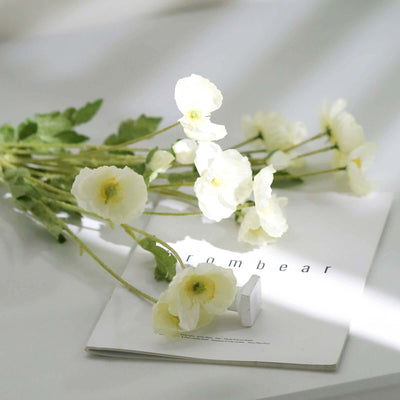 White flowers on a magazine page, softly illuminated in natural light.