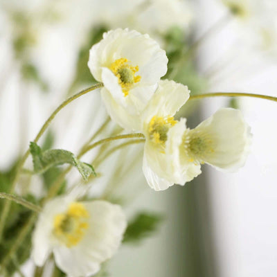 Delicate white flowers with yellow centers on slender stems