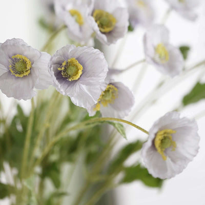 Lavender poppy flowers in a soft arrangement