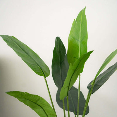 Artificial green plant with long leaves on a plain backdrop.