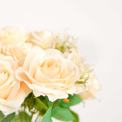 Peach roses bouquet on a plain background