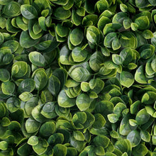 11 Sq ft. | Green Boxwood Hedge Garden Wall Backdrop Mat#whtbkgd