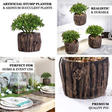 3 Pack Aeonium Artificial Plants Stump Planter Pot 6 Inch 