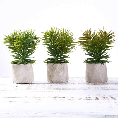 Artificial succulent plants in concrete pots