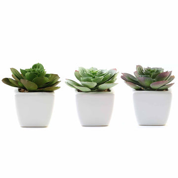Bringing Nature's Freshness to Your Space with Artificial Echeveria Succulents