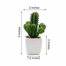 3 Pack Artificial Cacti Succulent Plants Ceramic Planter Pot 5 Inch