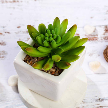 Elegant White Ceramic Planter Pot and Artificial Lotus Succulent Plants - 3 Pack