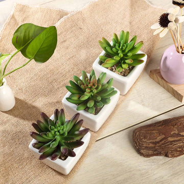 Create Unforgettable Events with Artificial Lotus Succulent Plants