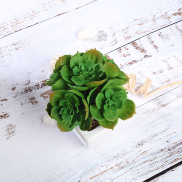 Elegant White Ceramic Planter Pot and Artificial Echeveria Elegans Plants - 3 Pack