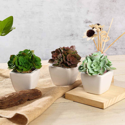 Decorative artificial succulent plants in modern white pots on a rustic table.