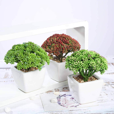 Artificial succulent plant arrangement in white pots.