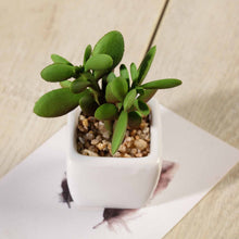 3 Inch Ceramic Planter Pot Artificial Mini Jade Succulent Plant 3 Pack