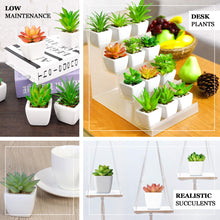 5 Inch Artificial Cacti Succulent Plants Ceramic Planter Pot 3 Pack