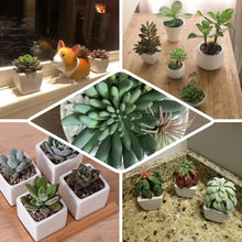 3 Pack | 8inches Ceramic Planter Pot & Artificial Crassula Succulent Plants