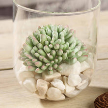4 Inch Artificial Mini Jelly Bean Decorative Succulent PVC Plants in Pack of 3