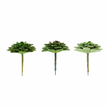Create a Mesmerizing Ambiance with Lifelike Artificial Succulent Plants