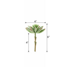 3 Pack Artificial PVC Spike Aeonium Decorative Succulent Plants 6 Inch