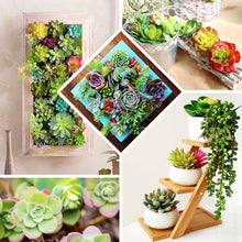 Artificial 6 Inch Spike Aeonium Decorative Succulent PVC Plants 3 Pack