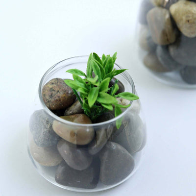 Glass vase with pebbles and greenery