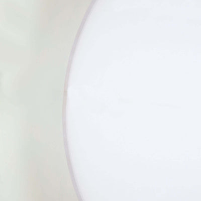 White circular object on a plain background