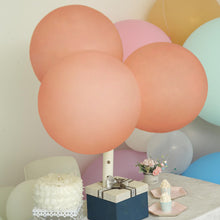 18 Inch Air or Helium Matte Pastel Natural Latex Party Balloons 10 Pack