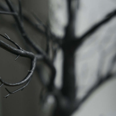 Black tree branch close-up with intricate details.