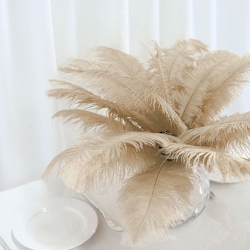 12 Pack Beige Natural Plume Real Ostrich Feathers, DIY Centerpiece Fillers 13"-15"