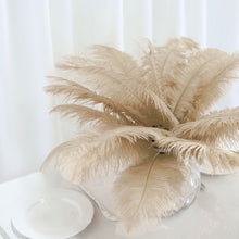 Beige Natural Plume Ostrich Feathers 12 Pack 13-15 Inch For DIY Centerpiece Fillers