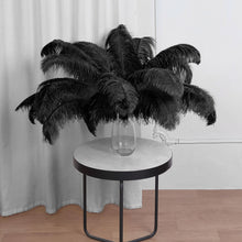 12 Pack | 24"-26" Black Natural Plume Ostrich Feathers Centerpiece