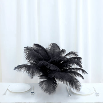 12 Pack | 13"-15" Black Natural Plume Real Ostrich Feathers, DIY Centerpiece Fillers