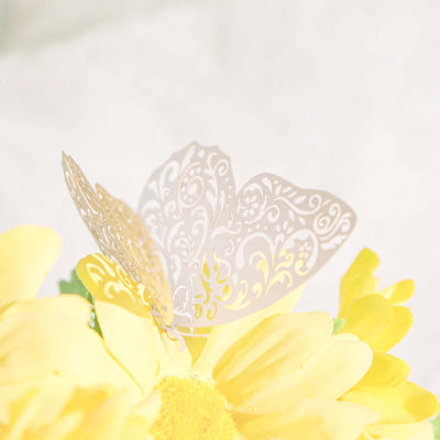 Intricate white butterfly perched on a bright yellow flower.