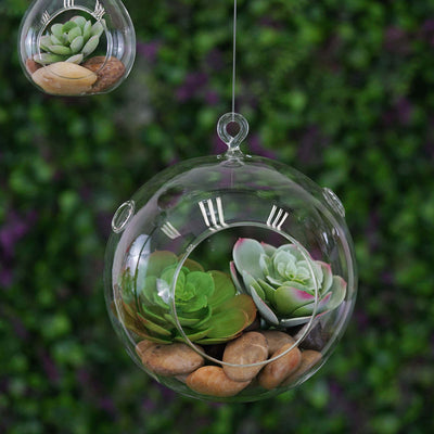 Hanging glass terrarium with succulents and pebbles