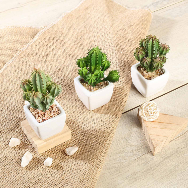 3 Pack Artificial 5 Inch Cacti Succulent Plants Ceramic Planter Pot