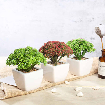 Elegant White Ceramic Planter Pot and Artificial Joy Sedum Succulent Plant 6"
