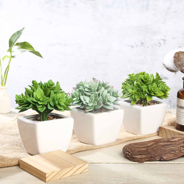 3 Pack Ceramic Planter Pot and Green Artificial Echeveria Plants 4"
