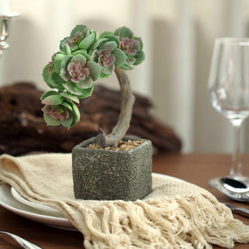 Concrete Planter Pot, Artificial Perle Von Nurnberg Succulent Plant 8"