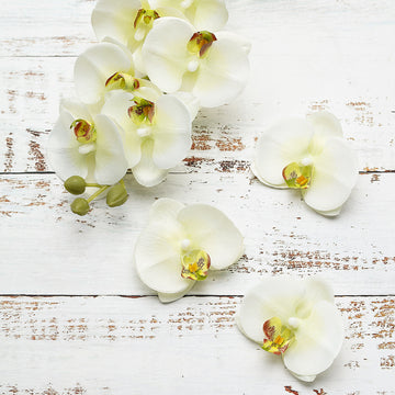 20 Flower Heads Cream Artificial Silk Orchids DIY Crafts 4"