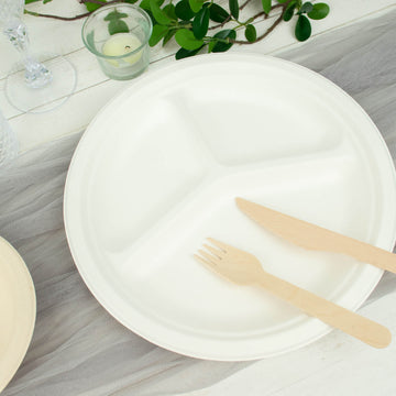 White Biodegradable Bagasse Dinner Plates