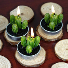 Tea Light Aguacolla Cactus Candles In PVC Box 6 Pack