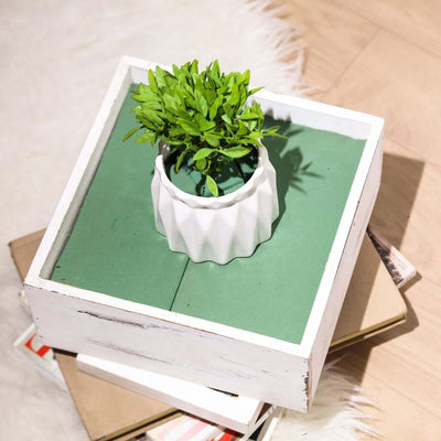 White planter with green plant on a wooden box.