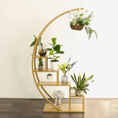 Curved wooden plant stand with various potted plants and decorative items.