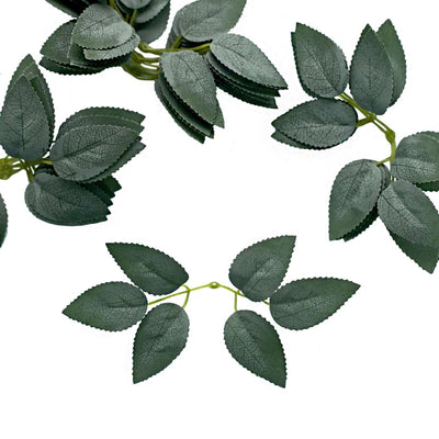 Green leaf branches on a white background for home decor or floral arrangements.